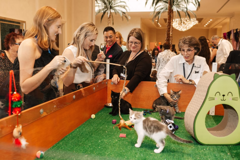 KITTY CUDDLE ZONE AT THE FURBALL, PHOTO VIA THE PET ALLIANCE