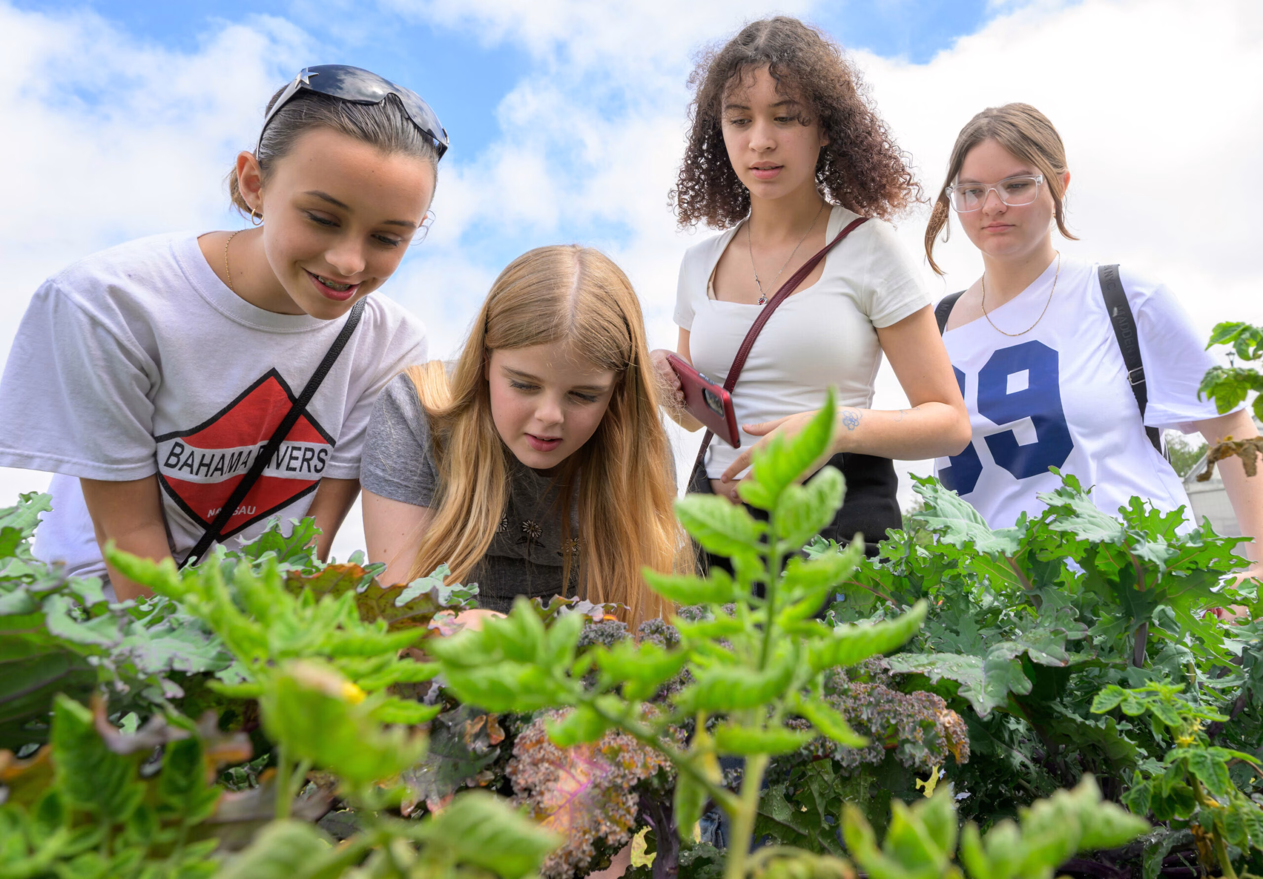 Central Florida teachers can apply for up to $3,000 in water science grants