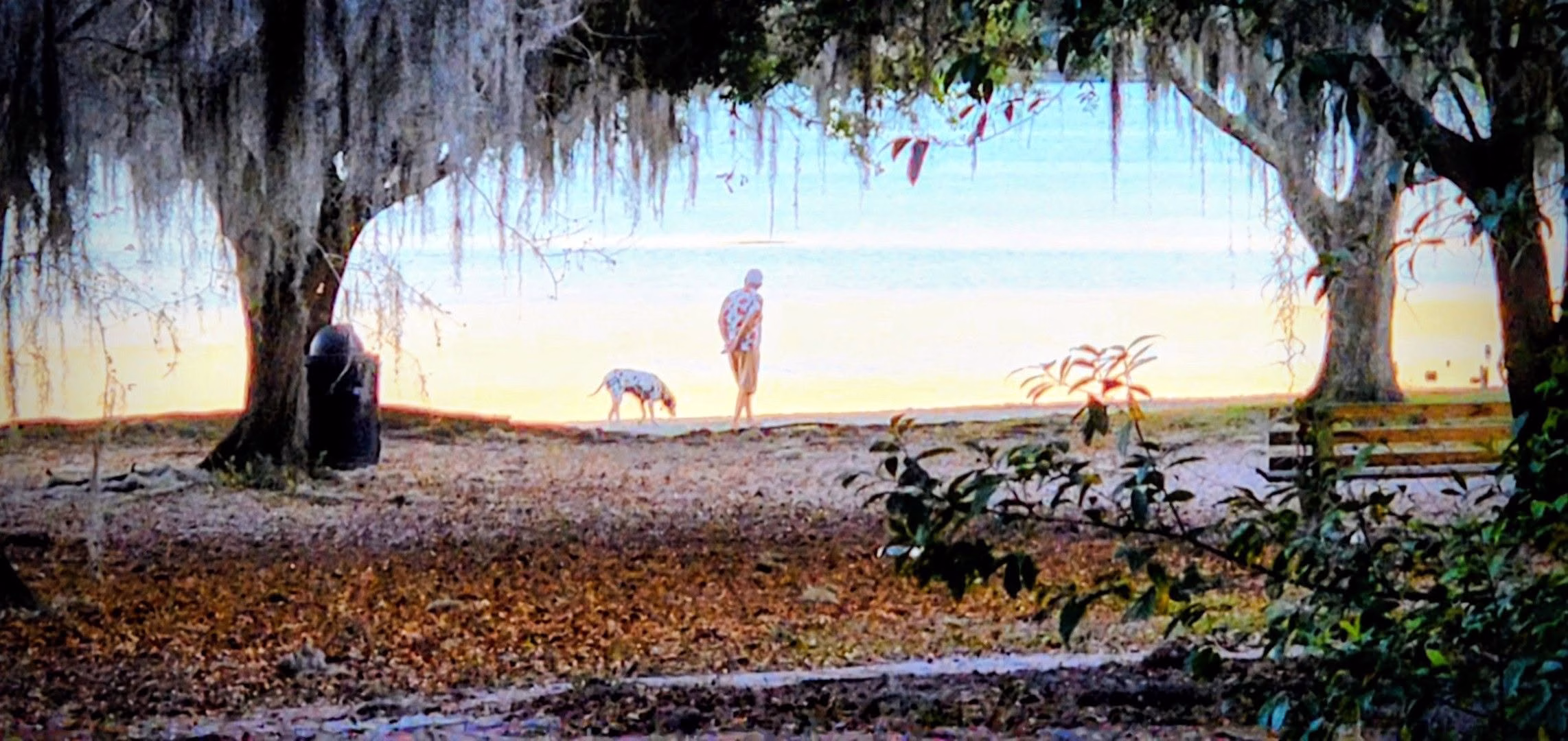Winter Park approves paid parking pilot for Lake Baldwin, Dinky Dock parks